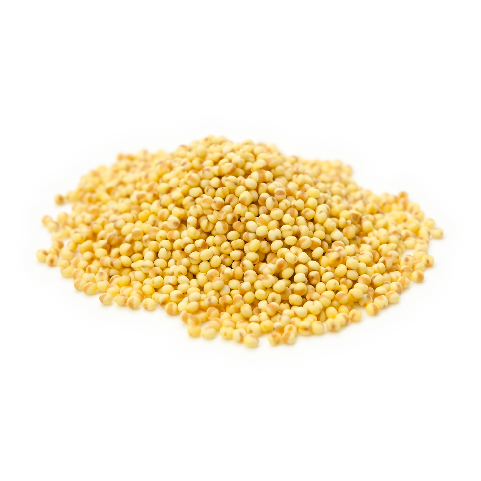 Foxtail Millet (కొర్రలు)