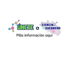 Captura de pantalla 2025-09-13 a la(s) 20.00.33.png