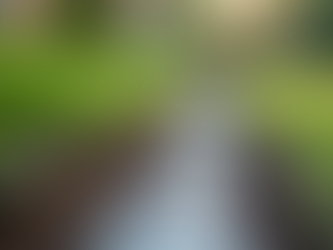 Effective Outdoor Drainage Solutions to Prevent Water Damage