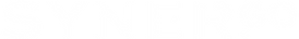 LOGO OFICIAL SYNERGO-04.png