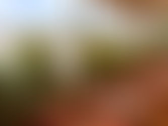 Descubre los Hermosos Espacios que Hacen Único este Restaurante.