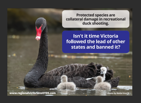 Screen Shot 2021-11-30 at 8.26.36 pm.png