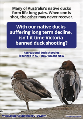 Screen Shot 2022-07-09 at 3.39.36 pm.png