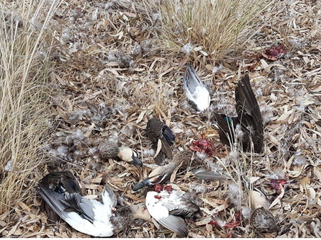 Easter at Victorian waterways.