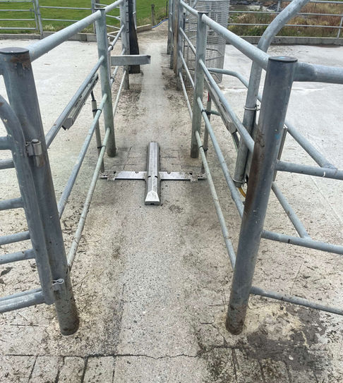 QDO Walkover Teatsprayer Installation NZ