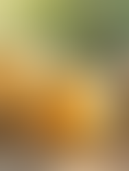 Natural soap bars with herbs on wooden surface