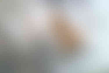 279A1574-Enhanced-NR-Edit.jpg