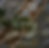 Thumbnail: Stress Relief Reed Diffuser 