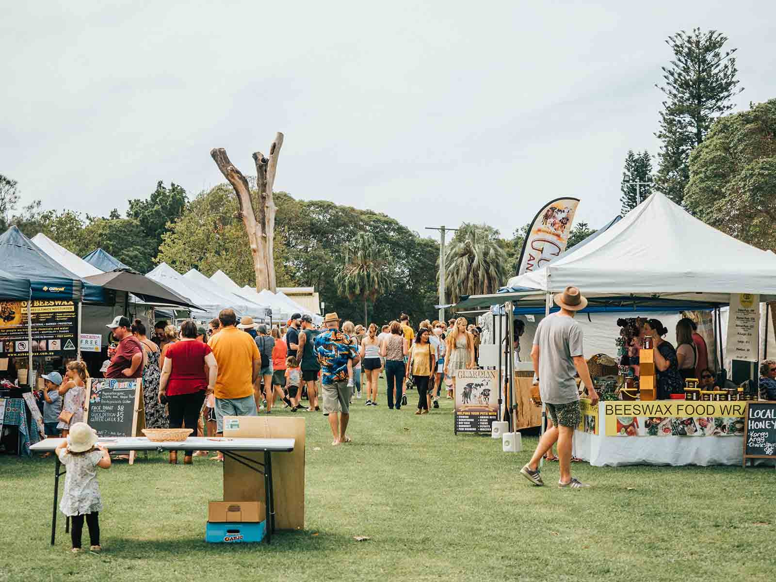 Homegrown Markets Speers Point Homegrown homegrown-markets-speers-point-homegrown