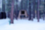 Sequoia Lodge