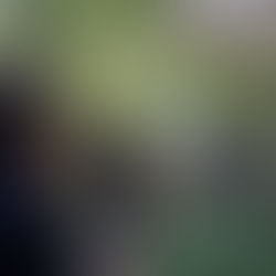 I Reel incominciano le riprese del videoclip "Stolen Dreams"