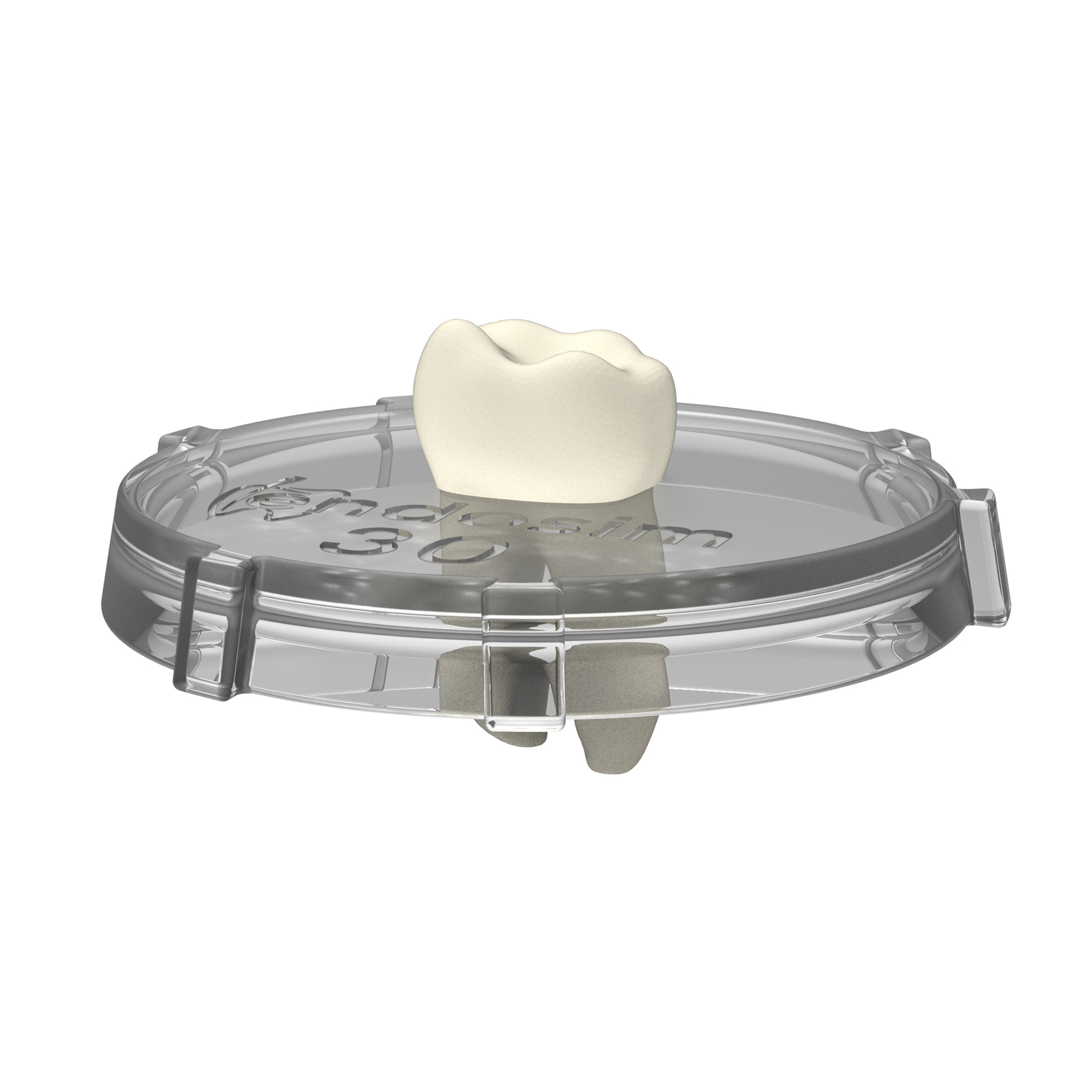 Tooth-Lid (#30, 3pack)