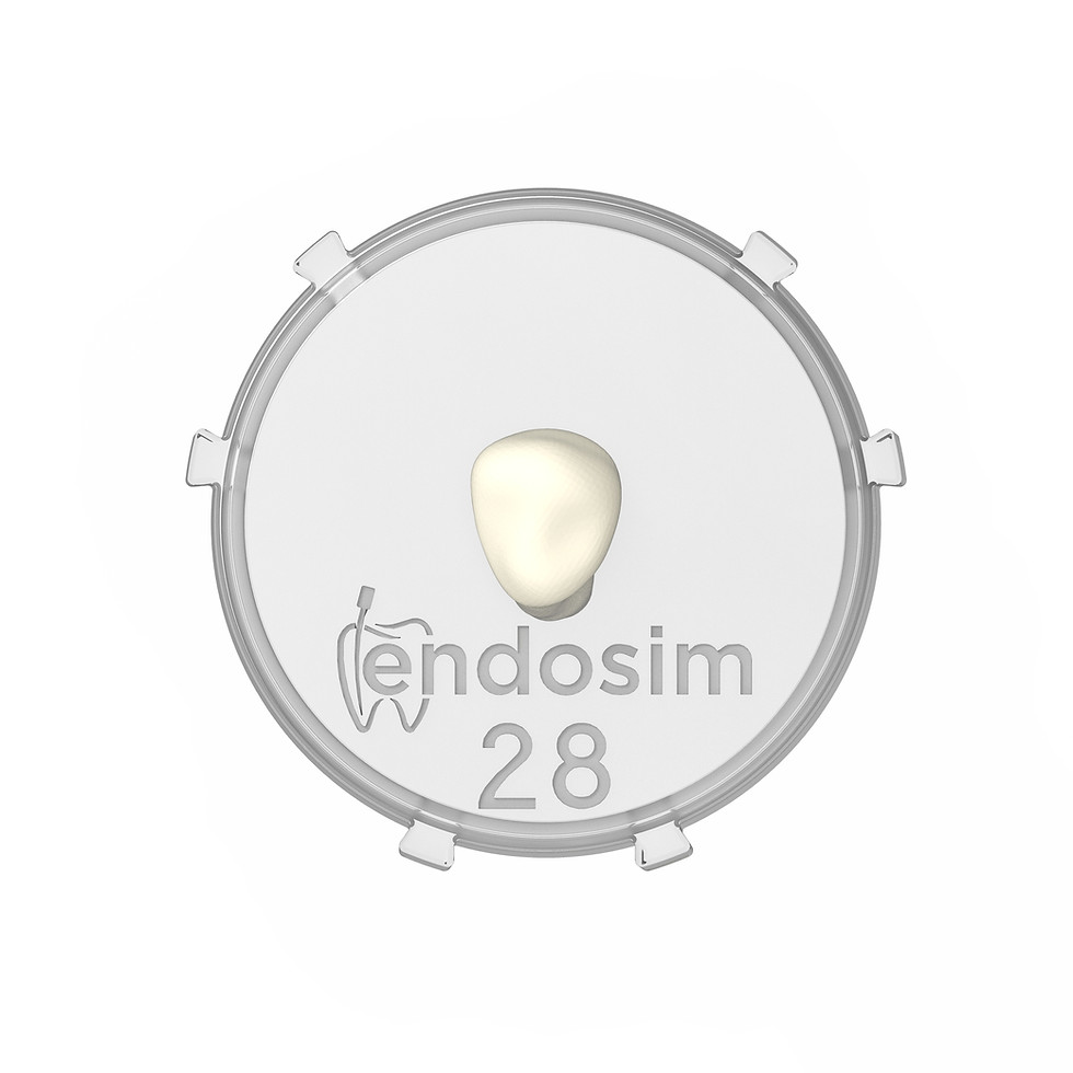 Thumbnail: Tooth-Lid (#28, 3pack)