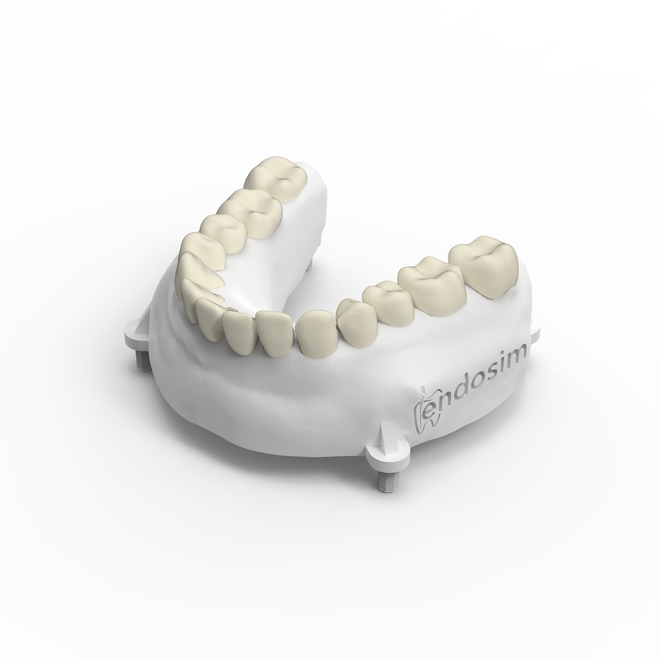 Dentoform (Mandibular)