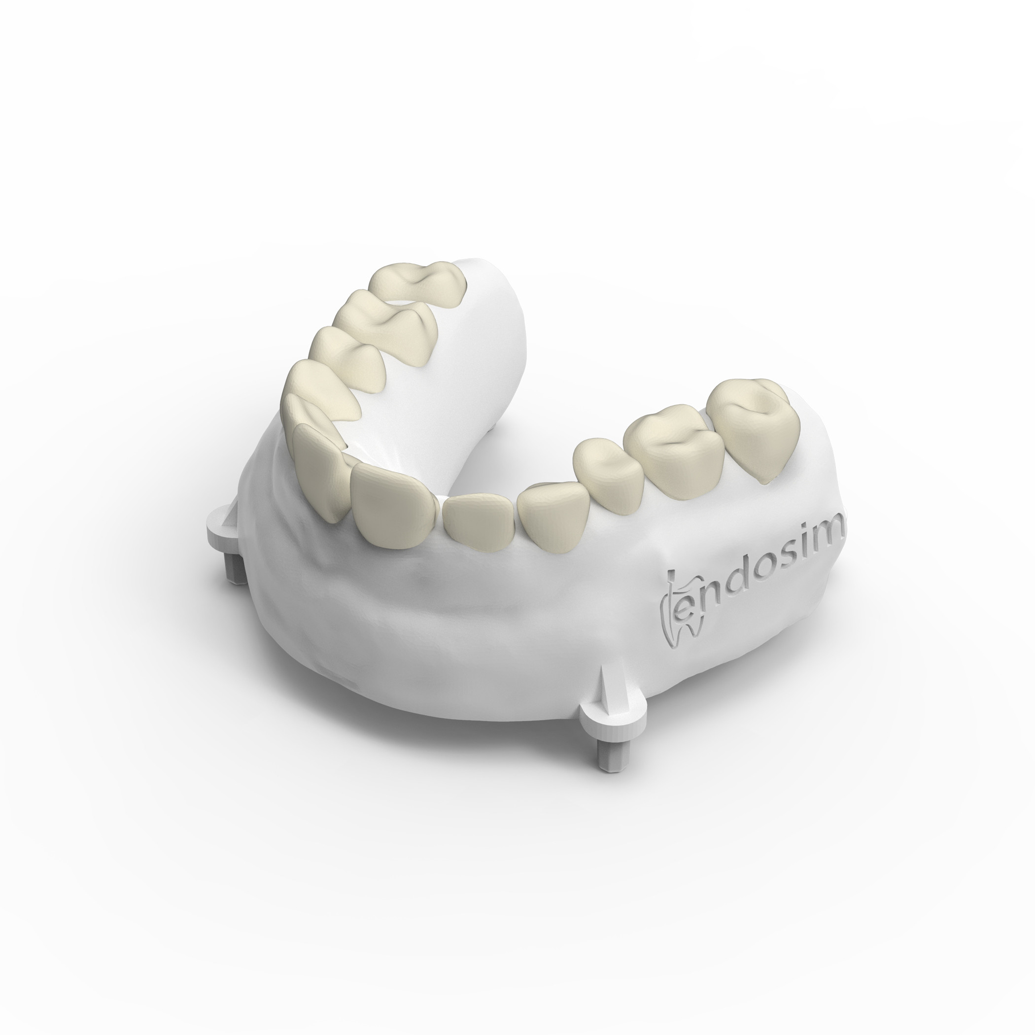 Dentoform (Maxillary)