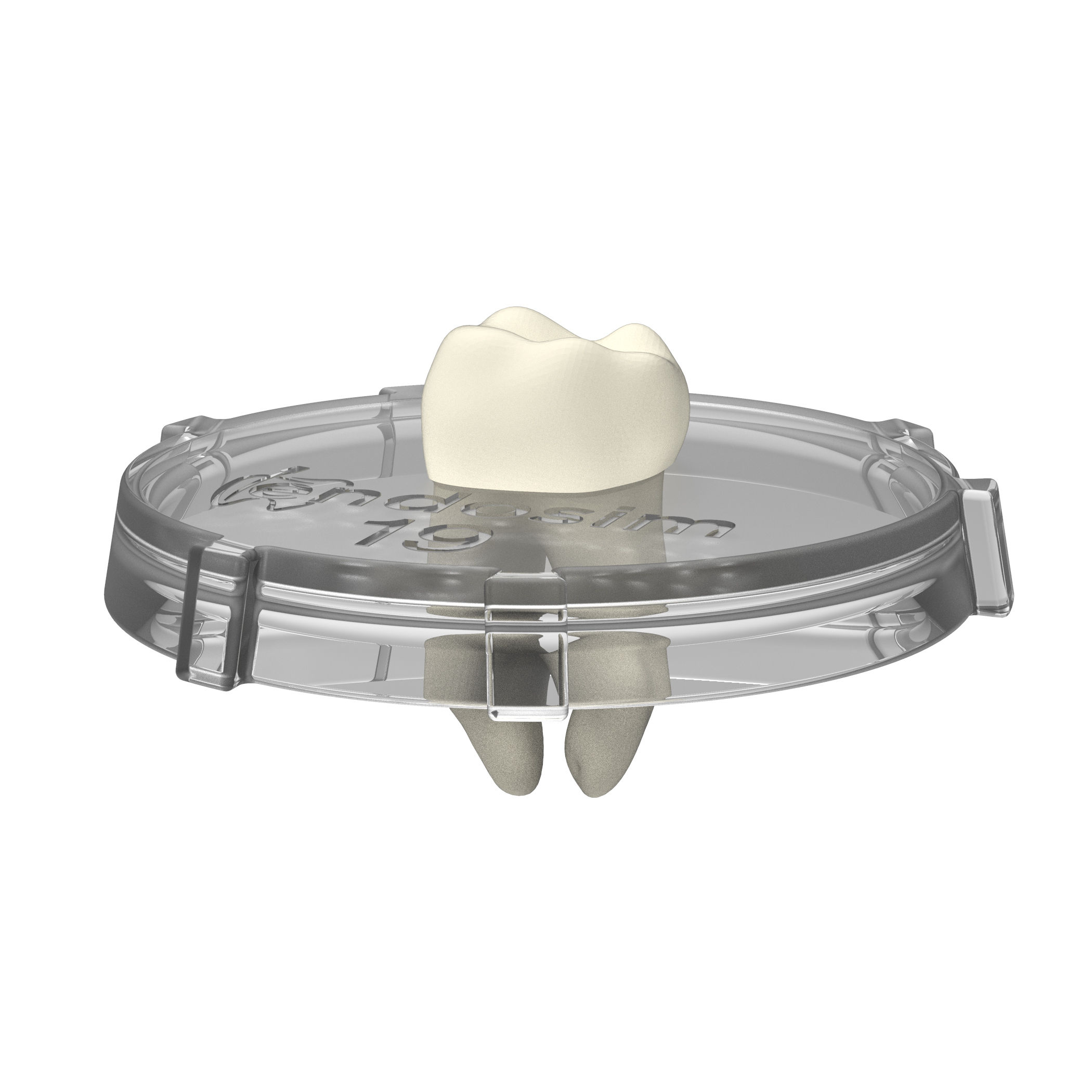 Tooth-Lid (#19, 3pack)