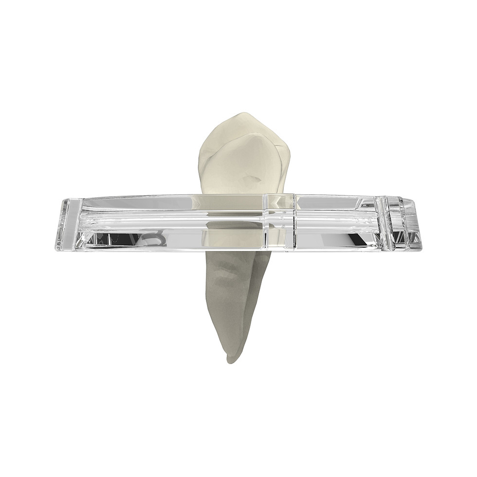 Thumbnail: Tooth-Lid (#5, 3pack)