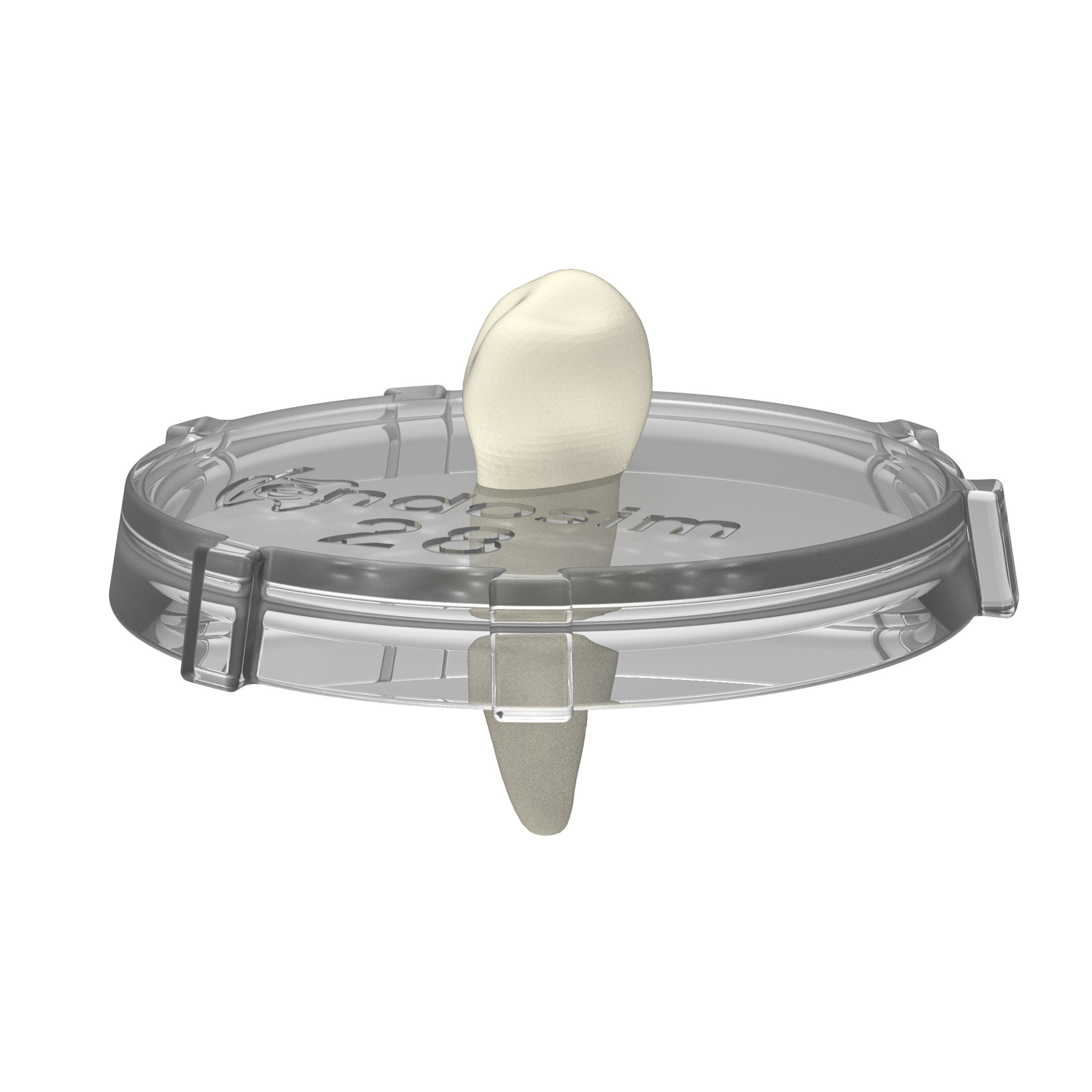 Tooth-Lid (#28, 3pack)