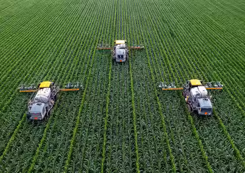 Agriculture