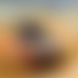 Foto cercana de un muffin, en el que se ve un arándano grande en primer plano