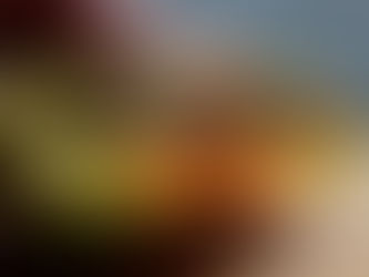 Foto detalle del wrap visto desde delante, se ve (de arriba a abajo) la capa de guacamole, carne picada, queso, huevo y lechuga