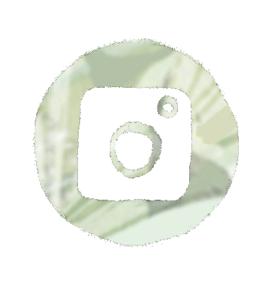 Website_InstaButton