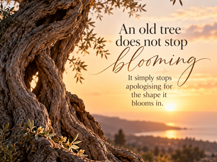 Why We Love Old Trees