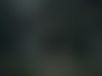 Every Ghost Story Is a Love Story: What The Haunting of Hill House Taught Me About Blooming Again