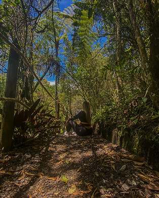 Ecoturismo