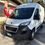 Miniatura: PEUGEOT BOXER 335 2.0 BlueHDi 130CV