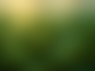 Toer Esir, el Bosque de los Estuarios.