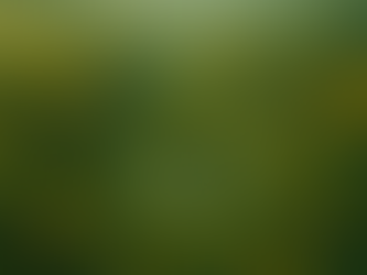 El centro de Ninlusnin, capital de los armukuranos silvanos en Úvendor