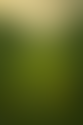 Campos de cultivo en Dininlad