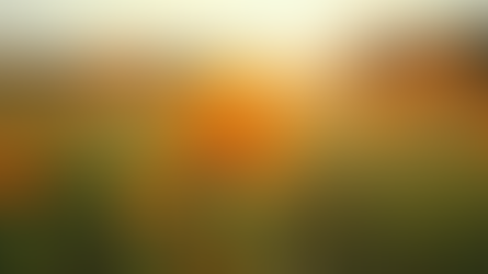 Tracking Nectar Flow Patterns in Cumberland County