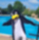 350119471_640473304654094_7035021227842240118_n.jpg