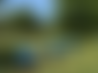 Trois nouvelles ruches chez Essonne Frigorifique 🐝