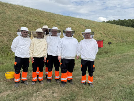 🐝🍯 Une immersion au cœur des ruches chez Tereos à Lillers !