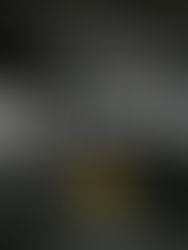 The Washington Literacy Center Celebrates Financial Literacy Month