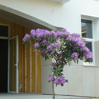 p1010350