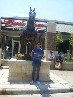 Beca transporte, Sur de EU