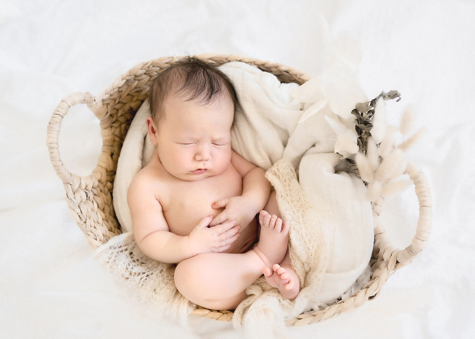 A posed Newborn sleeping in a basket with dried florals.
