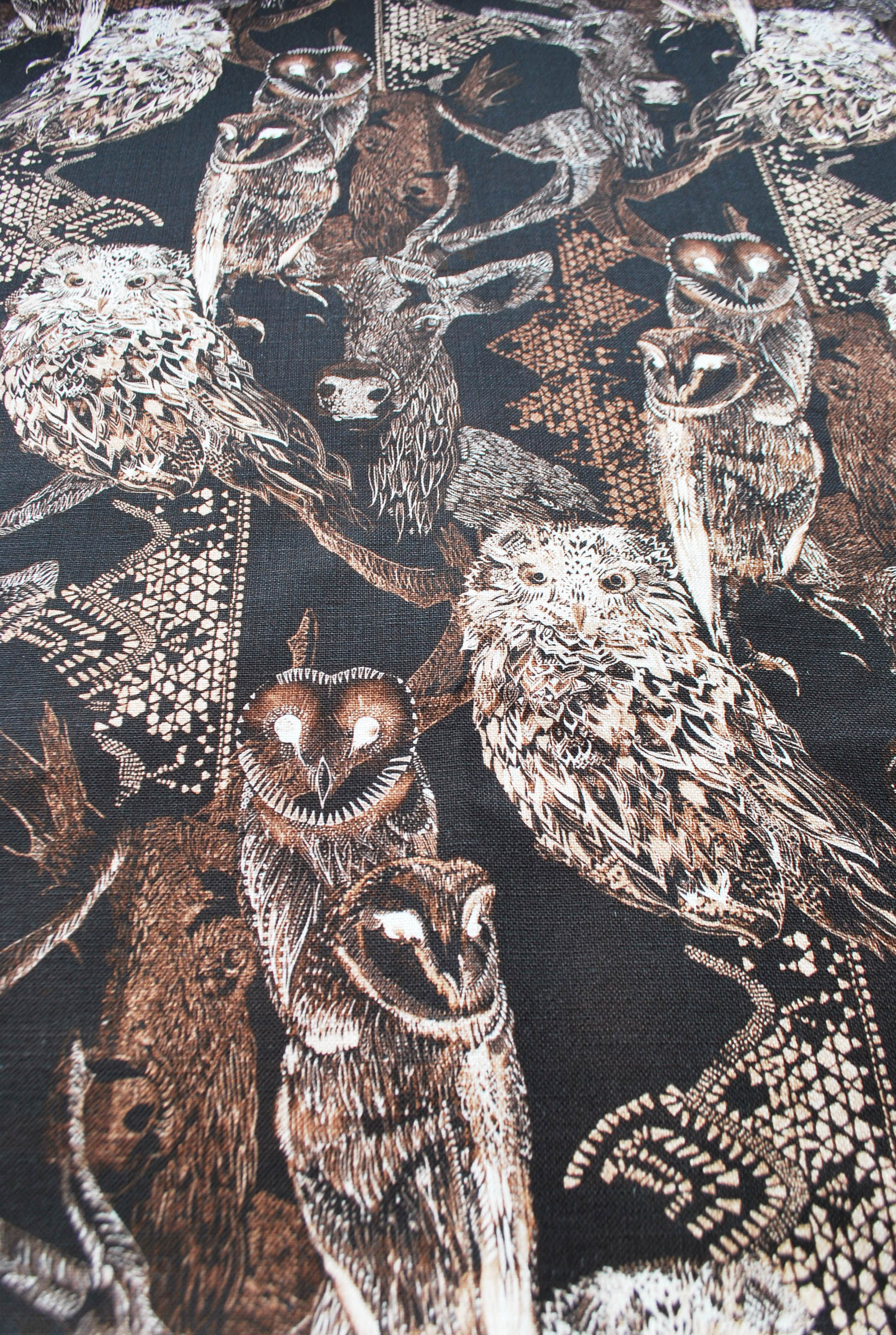 WALDEN in RAVEN BLACK