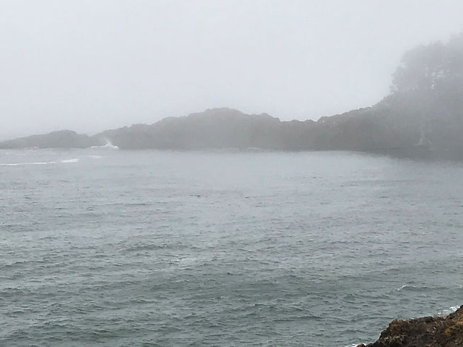 Fog covering a rocky shoreline.