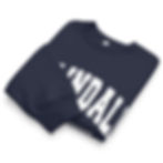 Thumbnail: Limited Edition Roslindale Village Main Street Oversized Sweatshirt - Navy