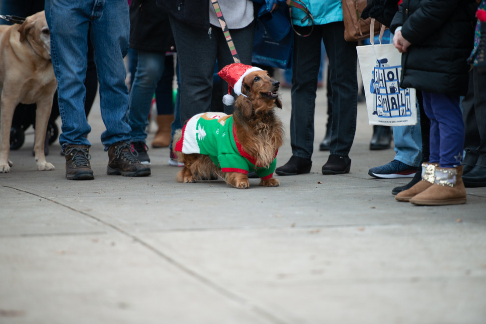 2023 TREE LIGHTING Roslindale