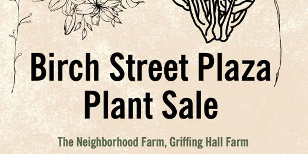 Plant Sale on Birch St Plaza