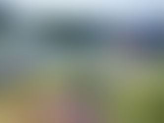 Ashtanga Yoga Retreat