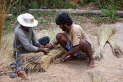 Gathering grass for the roof