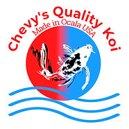 Chevy's Quality Koi
