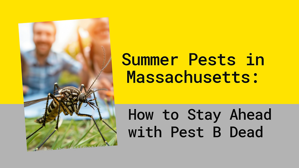 As temperatures rise in Massachusetts during the summer months, so does the activity of common pests looking for food, water, and shelter. In this informative blog post, we'll discuss the most common pests to watch out for in the summertime and proactive steps you can take to prevent them. Trust Pest B Dead to keep your home pest-free this season. Common Summer Pests in Massachusetts: Mosquitoes: With standing water from summer rains, mosquitoes thrive and can become a nuisance, as well as carry diseases like West Nile Virus and Eastern Equine Encephalitis (EEE). Protecting your home against summertime pests like mosquitoes is crucial for several reasons. Firstly, mosquitoes are not just a nuisance that causes itchy bites; they also pose significant health risks. These pests are known to carry and transmit various diseases, including West Nile Virus, Zika virus, Dengue fever, and Chikungunya. By safeguarding your home against mosquitoes, you are actively reducing the risk of exposure to these harmful illnesses for you and your family. Ticks: Ticks are prevalent in wooded areas and tall grass. They can transmit Lyme disease and other illnesses, posing a risk to your health and that of your pets. Safeguarding your home against summertime pests like ticks is essential due to the potential health risks they pose. Ticks are known vectors for various diseases, with Lyme disease being one of the most common and concerning in regions like Massachusetts. Beyond Lyme disease, ticks can also transmit other illnesses such as Anaplasmosis, Babesiosis, and Powassan virus. By taking proactive measures to prevent ticks from entering your home and yard, such as keeping vegetation trimmed, creating barriers, and performing regular tick checks after outdoor activities, you can significantly reduce the risk of tick-borne diseases for you, your family, and pets. Prioritizing tick prevention is not just about avoiding annoying bites but safeguarding your health and well-being during the summer months and beyond. Ants: Ant colonies are very active in the summer, as they forage for food and water. Common ants in Massachusetts include pavement ants and carpenter ants. Safeguarding your home against summertime pests like ants is crucial to maintain a hygienic living environment and prevent potential property damage. Ants are highly active during the warmer months as they forage for food sources, and once they find their way into your home, they can quickly establish colonies and become a persistent nuisance. Some ant species, such as carpenter ants, can also cause structural damage by tunneling through wood. By sealing entry points, keeping food stored securely, and maintaining a clean living space, you can discourage ants from infiltrating your home. Proactive ant prevention measures not only ensure a pest-free environment but also protect the integrity of your property and promote a healthier and more comfortable living space for you and your family. Flies: Flies are attracted to food waste and decaying organic matter, making them common in the summer. They can spread bacteria and pose a hygiene concern. Safeguarding your home against summertime pests like flies is crucial for maintaining cleanliness, hygiene, and overall comfort in your living space. Flies are not only a major annoyance but also potential carriers of disease-causing bacteria and pathogens. They are attracted to decaying organic matter and food residues, making kitchens and dining areas prime locations for infestations. By implementing preventative measures such as proper food storage, regular cleaning, and sealing entry points, you can effectively deter flies from invading your home. Keeping flies at bay not only prevents the spread of harmful bacteria but also enhances the overall quality of your living environment, ensuring a safer and more pleasant home for you and your family during the summer season. Proactive Pest Prevention Tips: Eliminate Standing Water: Regularly empty containers, gutters, and bird baths to prevent mosquitoes from breeding. Trim Vegetation: Keep grass and bushes trimmed to reduce tick habitat and make your yard less attractive to ticks. Seal Entry Points: Inspect your home for cracks, gaps, and openings where pests can enter. Seal them off to prevent ants and other pests from gaining access. Keep Food Covered: Store food in airtight containers and clean up spills promptly to discourage ant and fly infestations. Professional Inspection: Schedule a seasonal pest inspection with Pest B Dead to identify and address potential pest issues before they become major problems. Don't let common summer pests take over your home and outdoor space. Stay one step ahead by implementing these proactive pest prevention measures and enlisting the expertise of Pest B Dead. Contact us today to schedule a comprehensive pest inspection and customized pest control solutions to keep your home pest-free throughout the summer season.